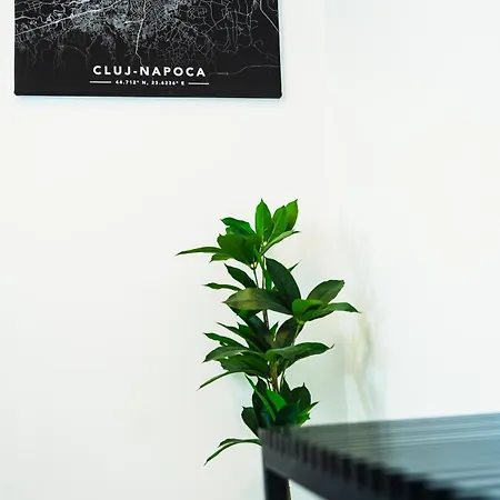 Globas Marasti Apartment *